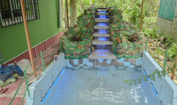 Hollong Eco Village Home Stay