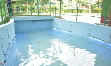 Hollong Eco Village Home Stay